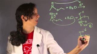 Explanation of Hydrolysis in Chemistry  Chemistry Help [upl. by Karlie]