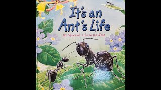 Its an Ants Life Read Aloud by Steve Parker [upl. by Aerdnuahs574]