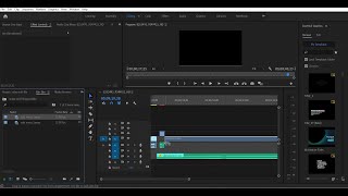 No audio only video import adobe premiere pro solve completly audio problem in hindi [upl. by Aikyn]