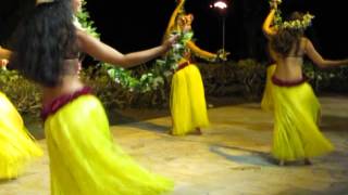 Tahitian Dancers in Tahiti [upl. by Oravla]