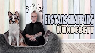 Erstanschaffung Hundebett  Welches Hundebett für den Anfang [upl. by Wachter925]