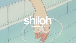 Shiloh Lofi Mix [upl. by Opalina]