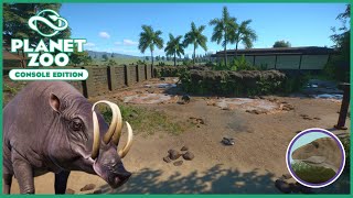 Muddy Babirusa Habitat  Silver Valley Zoo Ep 10  Planet Zoo Console Edition [upl. by Adla]