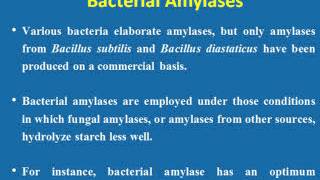 Fermentative production of enzymesamylase and protease [upl. by Bevus]