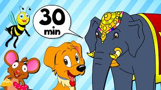 Ding Dong And More Songs For Kutties  30 Minutes Compilation [upl. by Dolph]