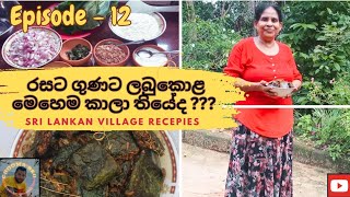 ලබුකොළ මෙහෙම කාලා තියේද Ep 12Sri Lankan Bottle Gourd Leaf recipe choomabrocookingchannel [upl. by Assilav]