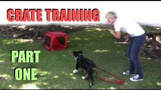 Crate Training Part 1 Dog Training [upl. by Nolyad]