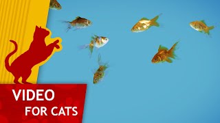 Movie for Cats  🐟 Shoal of Gold Fish Video for Cats 4K [upl. by O'Donoghue]