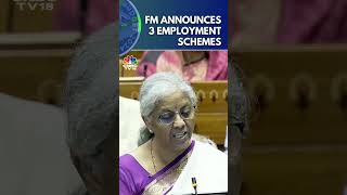 Govt Announces 3 EmploymentLinked Incentive Schemes Based On EPFO Enrolment  Budget 2024  N18S [upl. by Southard]