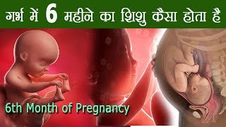 6 month of Pregnancy Baby Development गर्भावस्था का छठा महीना शिशु का विकास और वजन [upl. by Adalia706]