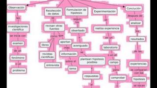 Pasos del metodo cientifico [upl. by Nwahsear]