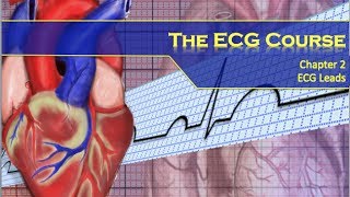 The ECG Course  Leads [upl. by Adniled937]