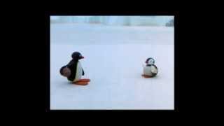 Pingu Cannot Lose Clip  Pingu Official Channel [upl. by Xam]