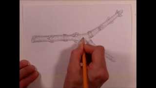 Draw a Twig [upl. by Varin]