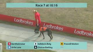 Crayford Greyhounds Races on 30th August 2024 [upl. by Perl220]