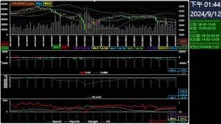 沃克財經 20240912 日盤台灣加權指數 [upl. by Yllus261]