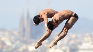 Barcelona 2013 15th FINA World Championships  Day 2 [upl. by Aenahs264]