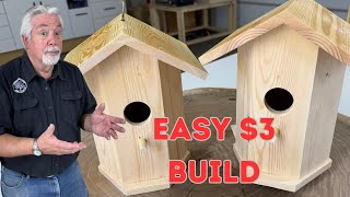 Avoid 7 Common Mistakes When Building A Bird House [upl. by Ijic405]