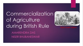 Economics Commercialization of Agriculture during British Rule in India IndianEconomy [upl. by Pascha]