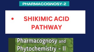 Shikimic acid pathway  significance of shikimic acid pathway  Pharmacognosy2 unit1 [upl. by Narok448]