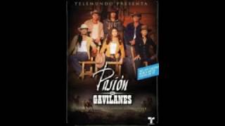 Llegaste  Lady Noriega  Pasion de Gavilanes Karaoke DEMO [upl. by Diver]