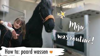 HOW TO paard wassen  MIJN WASROUTINE  36  Epplejeck [upl. by Kirred]