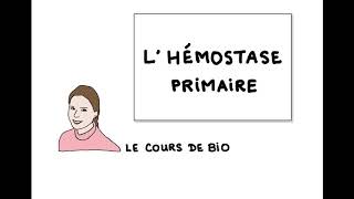 Hémostase primaire [upl. by Tonya221]