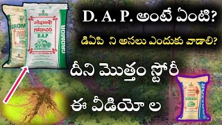 dap fertilizer uses in crops in telugu  dap fertilizer uses explain  dap fertilizer uses details [upl. by Klingel588]