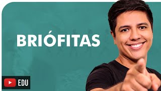 BRIÓFITAS  BOTÂNICA  Prof Kennedy Ramos [upl. by Akeihsat]