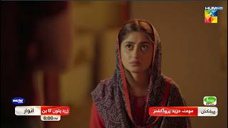 Zard Patton Ka Bunn  Ep 14 Promo  Sunday At 08 Pm Only On HUM TV  Sajal Ali amp Hamza Sohail [upl. by Pepita133]