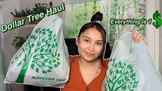 Dollar Tree Haul 2021 every thing is a dollar [upl. by Ahsocin]