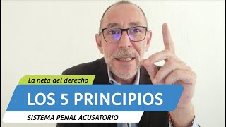 Los 5 principios que rigen nuestro Sistema Penal Acusatorio [upl. by Boarer]