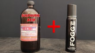 SULPHURIC ACID VS FOGG [upl. by Genvieve]