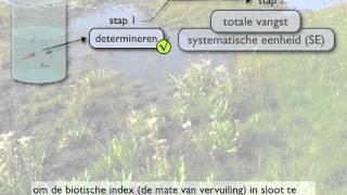 systematische eenheid en biotische index [upl. by Adil638]