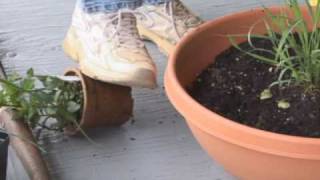 Herb Container Gardening For The Apartment Owner  How to have a garden without a yard [upl. by Meil]