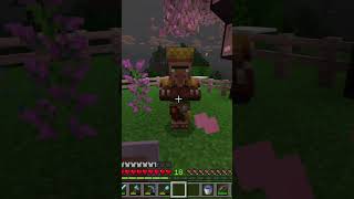 Crappy Trades Nope Minecraft [upl. by Iborian]