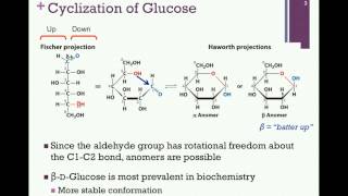 075Cyclization of Sugars [upl. by Aurore]