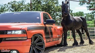 TRABAJANDO CON CABALLOS EN TROCA TUMBADA SILVERADO 2000 CHEVY ON 24S DROPPED [upl. by Klatt]