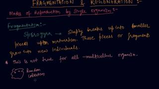 Fragmentation and Regeneration  Class 10 Biology How do Organisms Reproduce [upl. by Nylad]