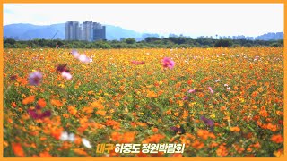 하중도 금호꽃섬 2024대구정원박람회 관람후기 [upl. by Sherurd]