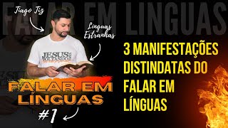 FALAR EM LÍNGUAS Parte 1  PDF Diferentes manifestações das Línguas  Falarão novas Línguas [upl. by Ydoc]