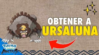 ✅ GUIA Como EVOLUCIONAR a URSARING en URSALUNA en Pokemon Legends Arceus [upl. by Stanhope]