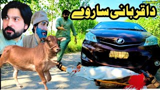 Da Qurbani Sarway Islahi Video By PK Plus Vines 2024  pk plus [upl. by Ciel164]