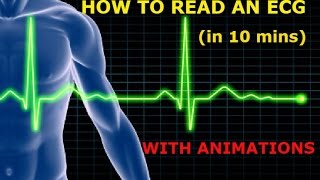 HOW TO READ AN ECG WITH ANIMATIONSin 10 mins [upl. by Ainex]