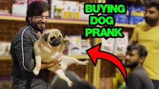 Buying Dog Prank  Pranks In Pakistan  Humanitarians [upl. by Ecaj]