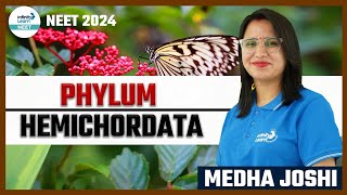 Phylum Hemichordata  ShortLecture  NEET2024 Zoology  Medha Joshi  Infinity Learn NEET [upl. by Ettelliw456]