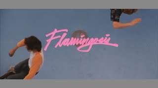 Flamingosis  Return of The Love Jones Official Video [upl. by Hildagard]