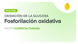 Fosforilación oxidativa  Biología  Oxidación de la glucosa  V6  Egg Educación [upl. by Efeek]