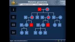 Genetica 03  Malattie genetiche e genetica di popolazione [upl. by Nalym]