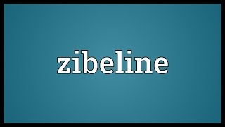 Zibeline Meaning [upl. by Neerroc]